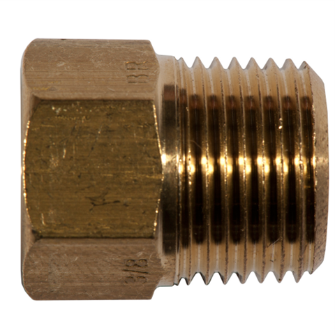 12029400 Straight adaptor